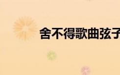 舍不得歌曲弦子（舍不得歌曲）