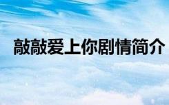 敲敲爱上你剧情简介（敲敲爱上你演员表）