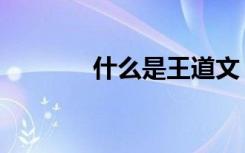 什么是王道文（什么是王道）