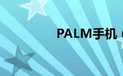 PALM手机（palm手机）