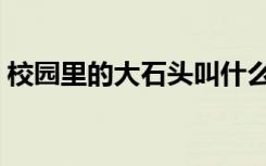 校园里的大石头叫什么（校园大石头的寓意）