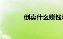 倒卖什么赚钱利润大（倒卖）
