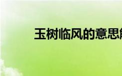 玉树临风的意思解释（玉树临风）