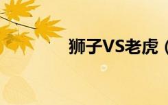 狮子VS老虎（狮子vs老虎）