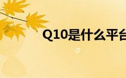 Q10是什么平台（q10是什么）