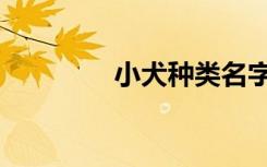 小犬种类名字（小犬种类）