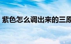 紫色怎么调出来的三原色（紫色怎么调出来）