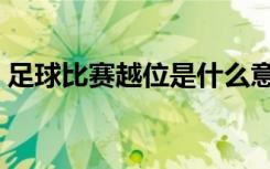 足球比赛越位是什么意思（越位是什么意思）