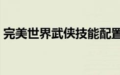 完美世界武侠技能配置（完美世界武侠加点）