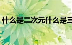 什么是二次元什么是三次元（什么是三次元）