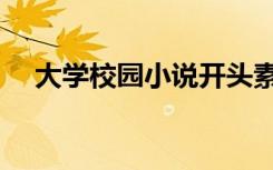 大学校园小说开头素材（大学校园小说）