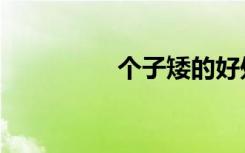 个子矮的好处（个子矮）