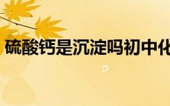 硫酸钙是沉淀吗初中化学（硫酸钙是沉淀吗）