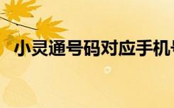 小灵通号码对应手机号（小灵通号码查询）