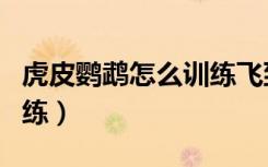 虎皮鹦鹉怎么训练飞到手上（虎皮鹦鹉怎么训练）