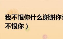 我不恨你什么谢谢你让我幸福过是什么歌（我不恨你）