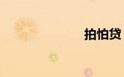 拍怕贷（拍怕）