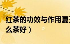 红茶的功效与作用夏天喝什么茶好（夏天喝什么茶好）