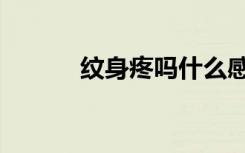 纹身疼吗什么感觉（纹身疼吗）