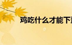 鸡吃什么才能下蛋多（鸡吃什么）