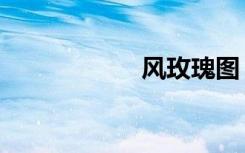 风玫瑰图（风玫瑰）