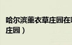 哈尔滨薰衣草庄园在哪个位置（哈尔滨薰衣草庄园）