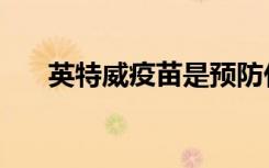 英特威疫苗是预防什么病的（英特威）