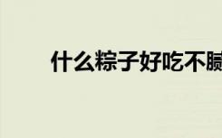 什么粽子好吃不腻（什么粽子好吃）