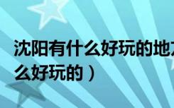 沈阳有什么好玩的地方适合年轻人（沈阳有什么好玩的）