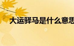 大运驿马是什么意思（驿马是什么意思）
