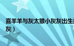 喜羊羊与灰太狼小灰灰出生是哪一集（喜羊羊与灰太狼小灰灰）