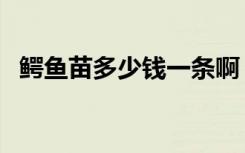 鳄鱼苗多少钱一条啊（鳄鱼苗多少钱一条）