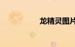 龙精灵图片（龙精灵）