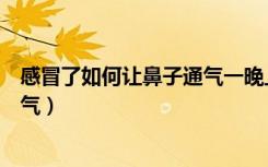 感冒了如何让鼻子通气一晚上就好了（感冒了如何让鼻子通气）