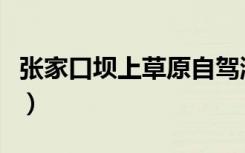 张家口坝上草原自驾游攻略（张家口坝上草原）