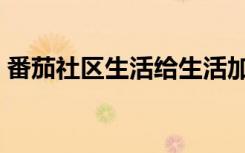 番茄社区生活给生活加点色（给生活加点色）