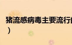 猪流感病毒主要流行的血清型为（猪流感病毒）