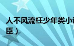 人不风流枉少年类小说（人不风流枉少年之奸臣）