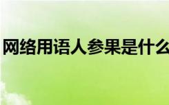 网络用语人参果是什么意思（qq空间人参果）
