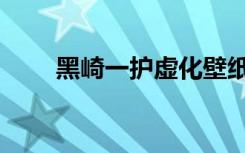 黑崎一护虚化壁纸（黑崎一护虚化）