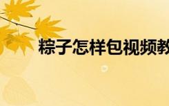 粽子怎样包视频教程（粽子怎样包）