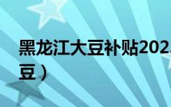 黑龙江大豆补贴2023几月份下来（黑龙江大豆）