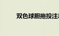 双色球胆拖投注表（双色球胆拖）