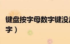键盘按字母数字键没反应（键盘按字母出现数字）