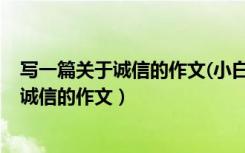 写一篇关于诚信的作文(小白兔和小猴的对话)（写一篇关于诚信的作文）