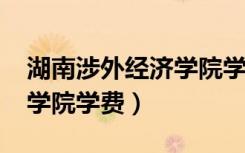 湖南涉外经济学院学费2023（湖南涉外经济学院学费）
