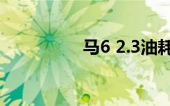 马6 2.3油耗（马6 2 3）