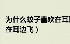 为什么蚊子喜欢在耳边飞呢（为什么蚊子喜欢在耳边飞）