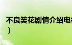 不良笑花剧情介绍电视猫（不良笑花剧情介绍）