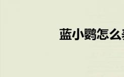 蓝小鹦怎么养（蓝小鹦）